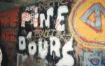 Pine d'ours